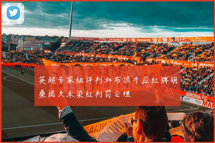 英超专家组评判加布顶牛应红牌胡桑诺夫未染红判罚合理