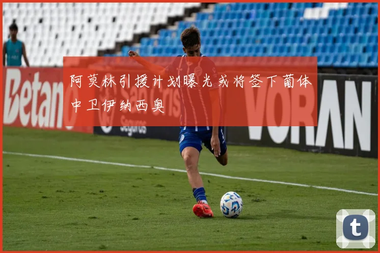 阿莫林引援计划曝光或将签下葡体中卫伊纳西奥