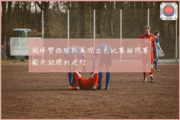 阎峰赞扬球队表现出色比赛按照赛前计划顺利进行