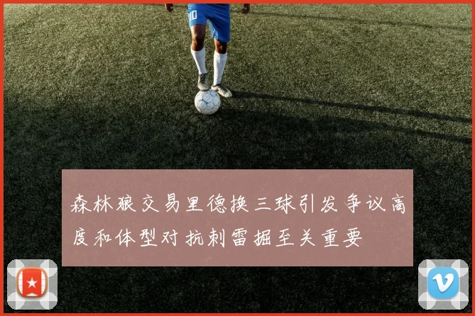 森林狼交易里德换三球引发争议高度和体型对抗刺雷掘至关重要